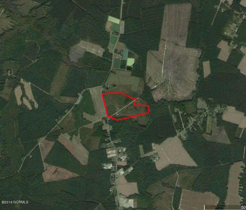85 Acres Off Neuse Road Grantsboro, NC 28529 - Photo 2 of 31 Brinson 85 ac Expanded