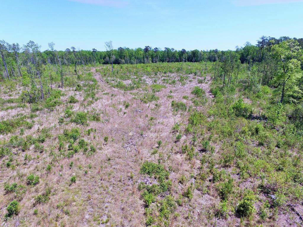 85 Acres Off Neuse Road Grantsboro, NC 28529 - Photo 21 of 31 20
