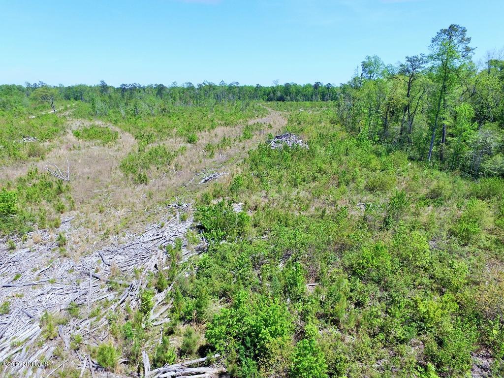 85 Acres Off Neuse Road Grantsboro, NC 28529 - Photo 22 of 31 21
