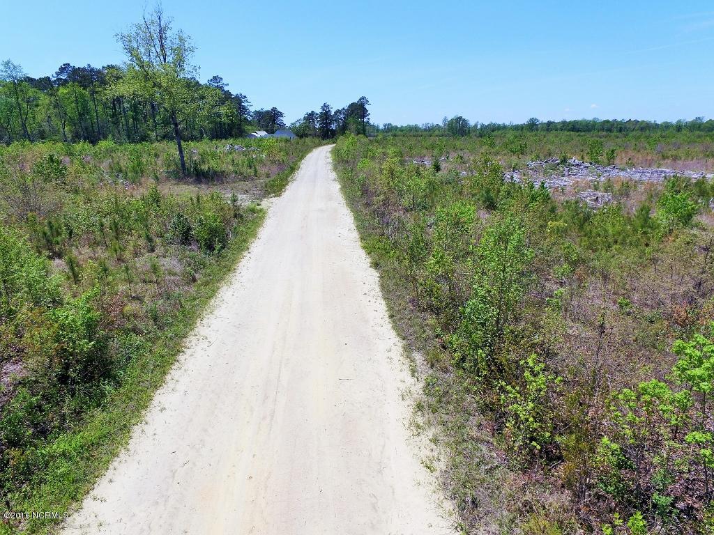 85 Acres Off Neuse Road Grantsboro, NC 28529 - Photo 24 of 31 23