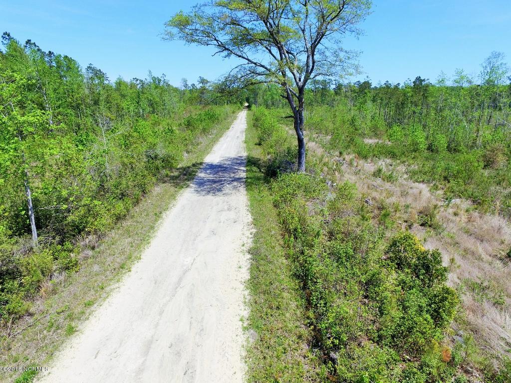 85 Acres Off Neuse Road Grantsboro, NC 28529 - Photo 25 of 31 24