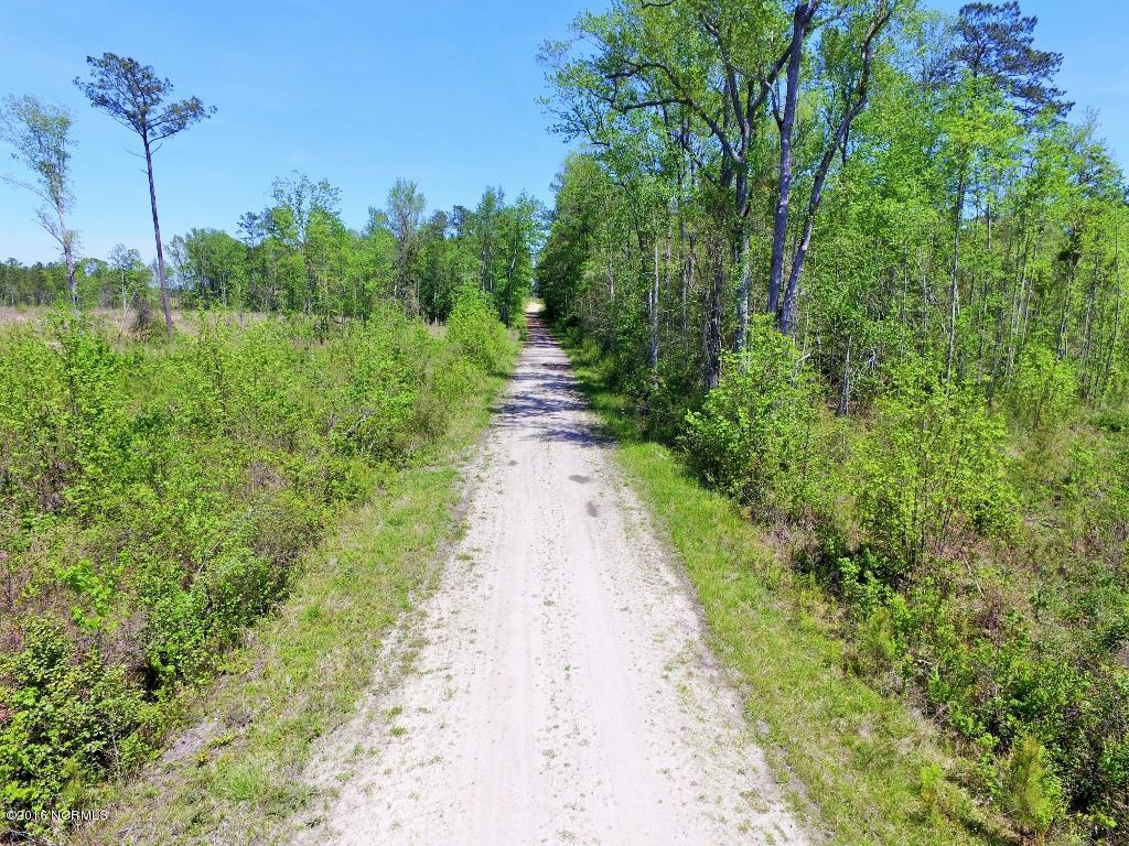 85 Acres Off Neuse Road Grantsboro, NC 28529 - Photo 26 of 31 25