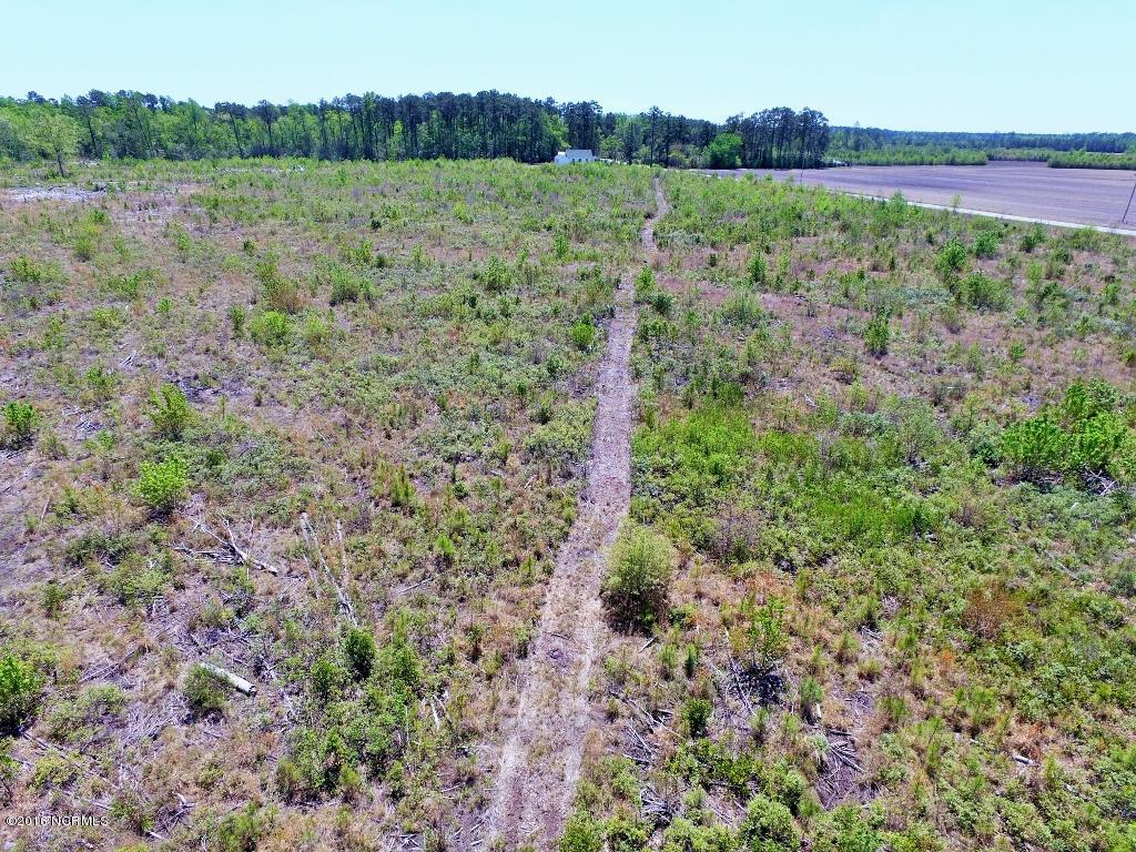 85 Acres Off Neuse Road Grantsboro, NC 28529 - Photo 27 of 31 12