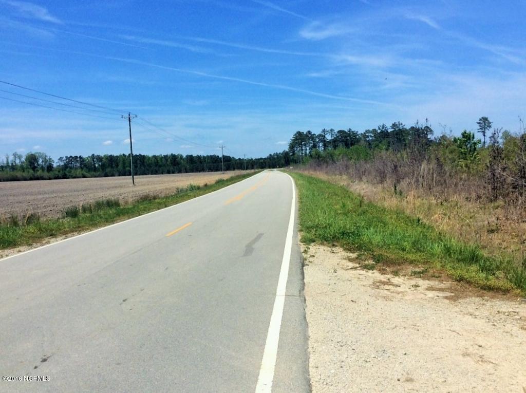 85 Acres Off Neuse Road Grantsboro, NC 28529 - Photo 28 of 31 29