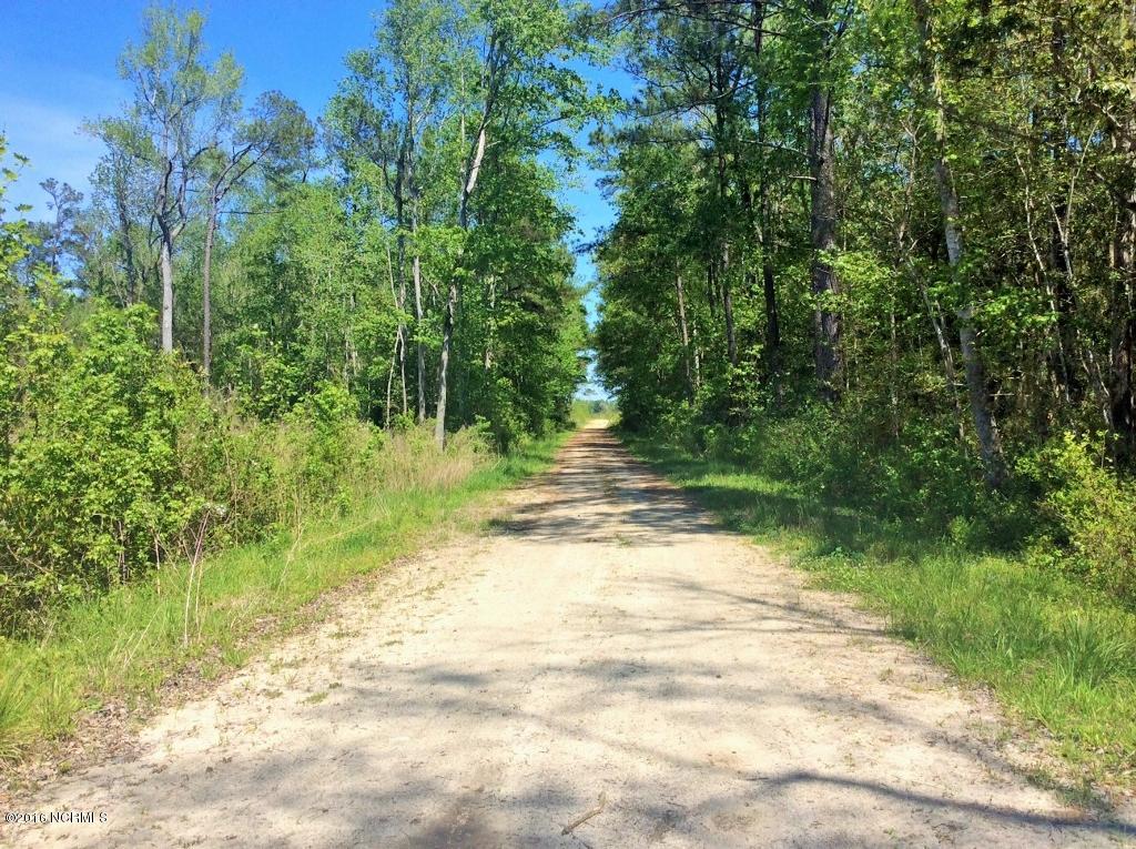 85 Acres Off Neuse Road Grantsboro, NC 28529 - Photo 30 of 31 27