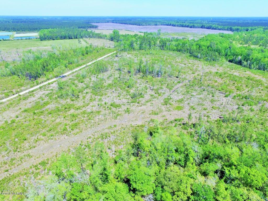 85 Acres Off Neuse Road Grantsboro, NC 28529 - Photo 4 of 31 2