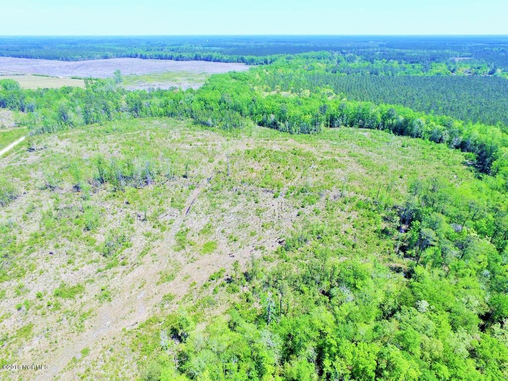 85 Acres Off Neuse Road Grantsboro, NC 28529 - Photo 5 of 31 3
