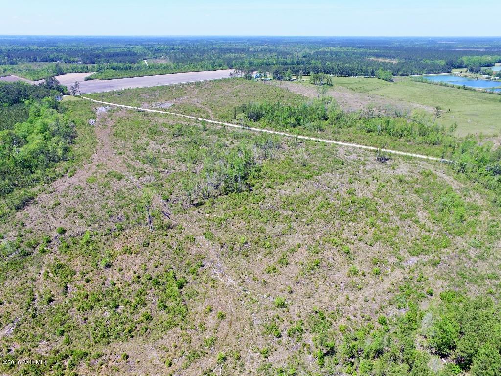 85 Acres Off Neuse Road Grantsboro, NC 28529 - Photo 6 of 31 4