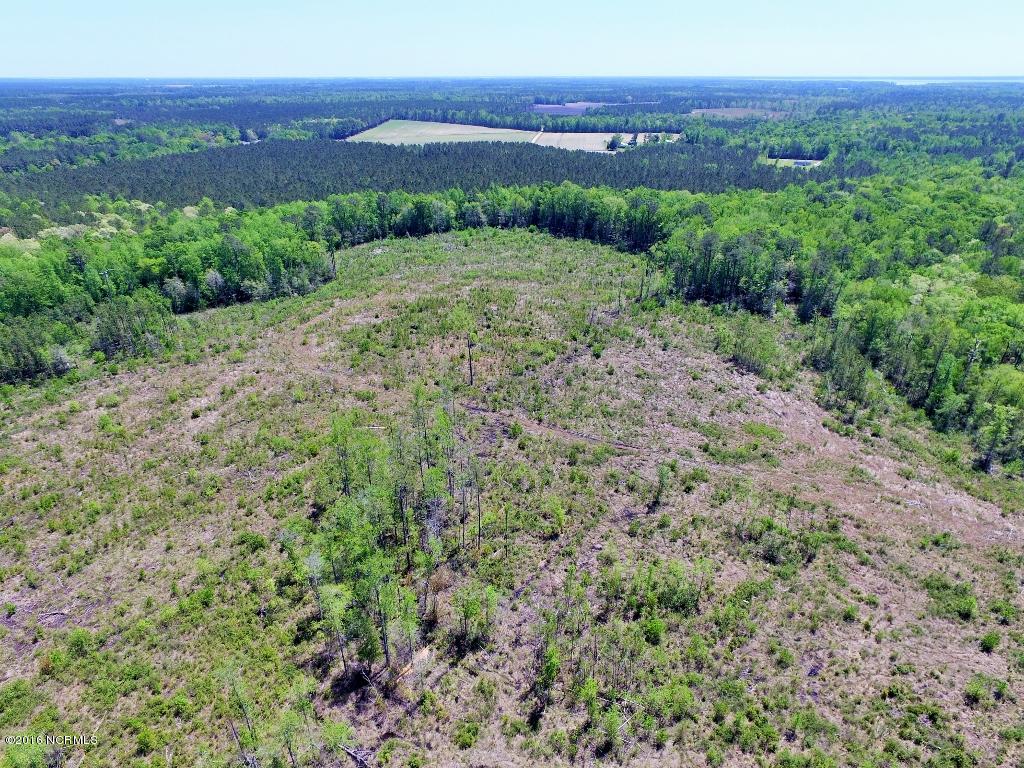 85 Acres Off Neuse Road Grantsboro, NC 28529 - Photo 8 of 31 6