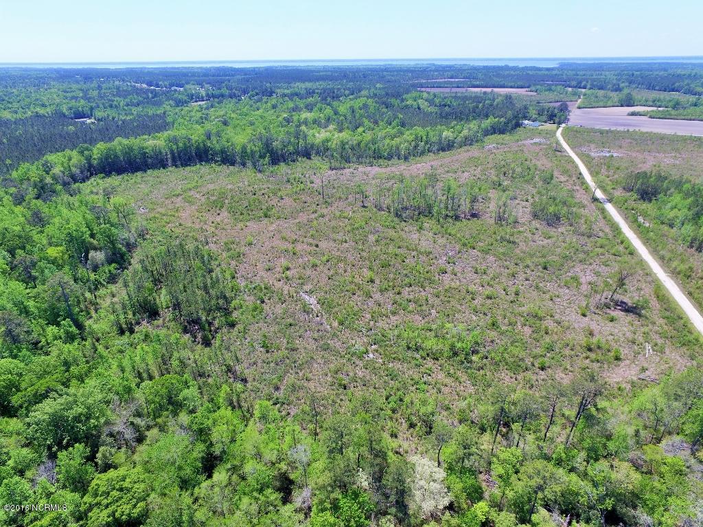 85 Acres Off Neuse Road Grantsboro, NC 28529 - Photo 9 of 31 7
