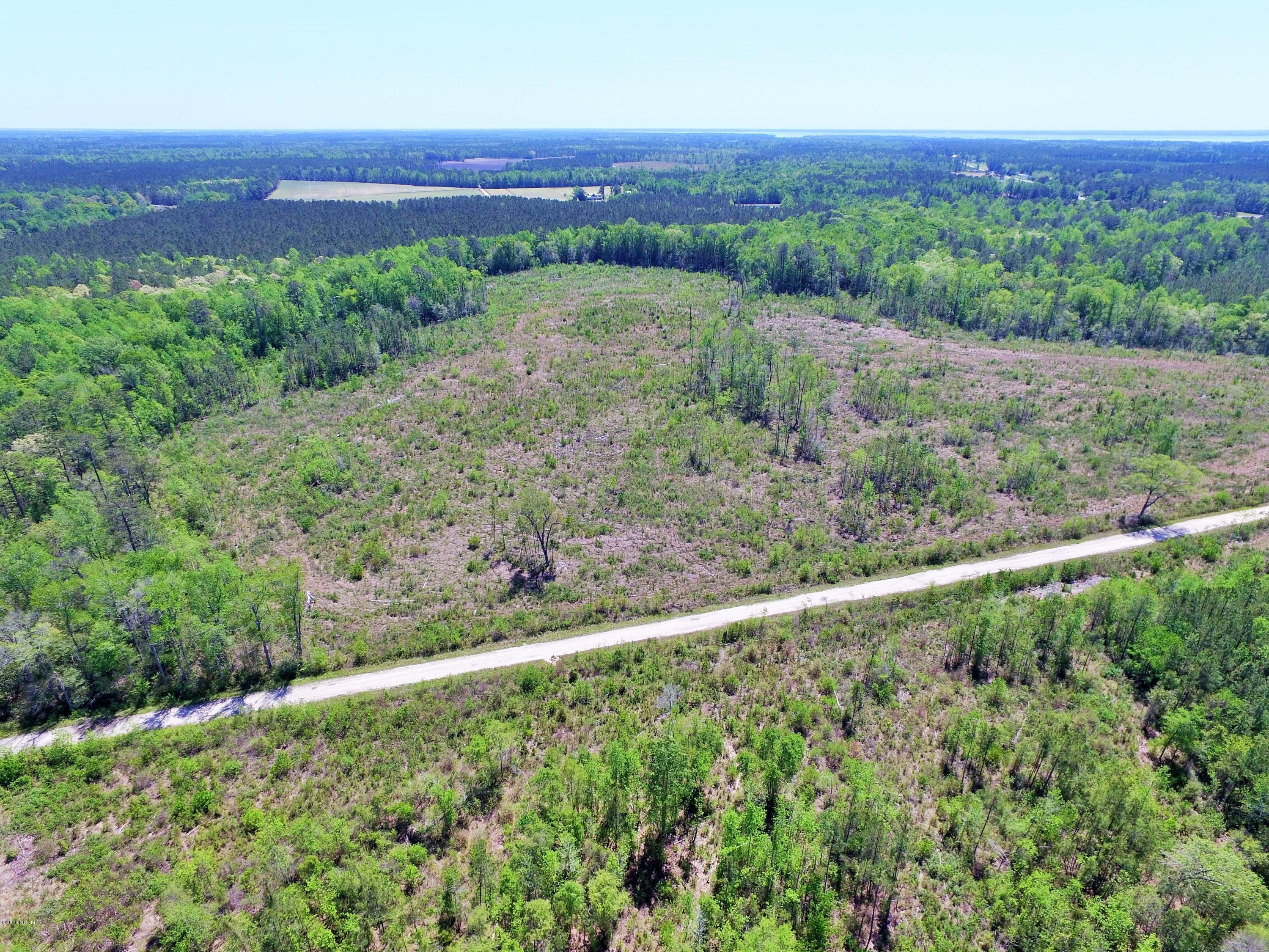 85 Acres Off Neuse Road Grantsboro, NC 28529 - Photo 10 of 31 8