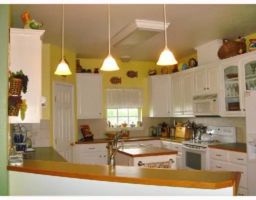 a kitchen with counter top space and appliances