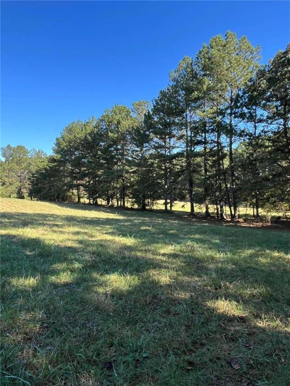 0 Plemons Road Silver Creek, GA 30173 - Photo 1 of 1 a view of yard with green space