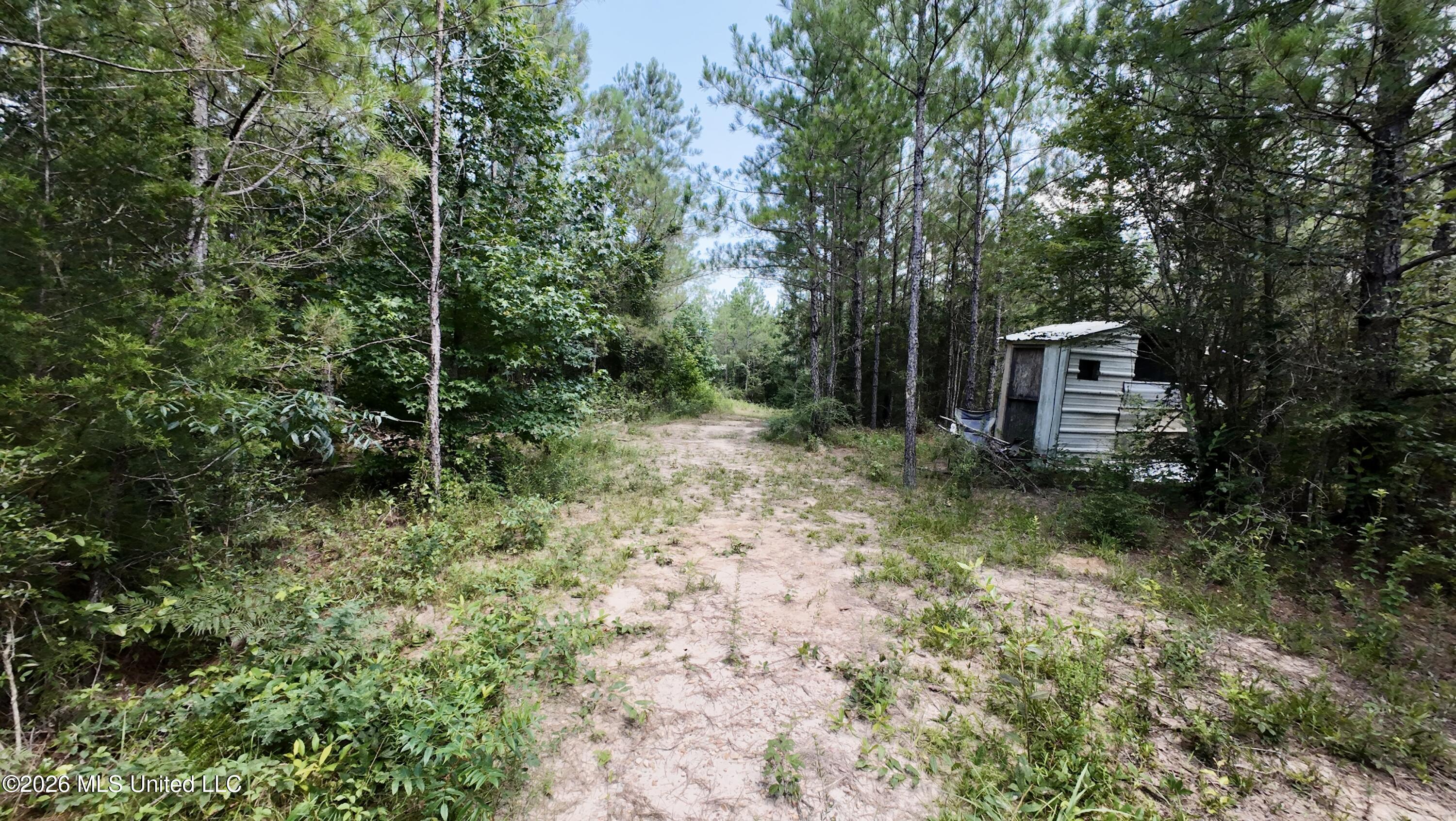 115 Tom Calhoun Road Mendenhall, MS 39114 - Photo 28 of 29 DJI_20260703112430_0351_D