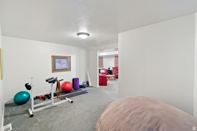 30 Shadow Mountain Drive Logan, UT 84321 - Photo 23 of 43