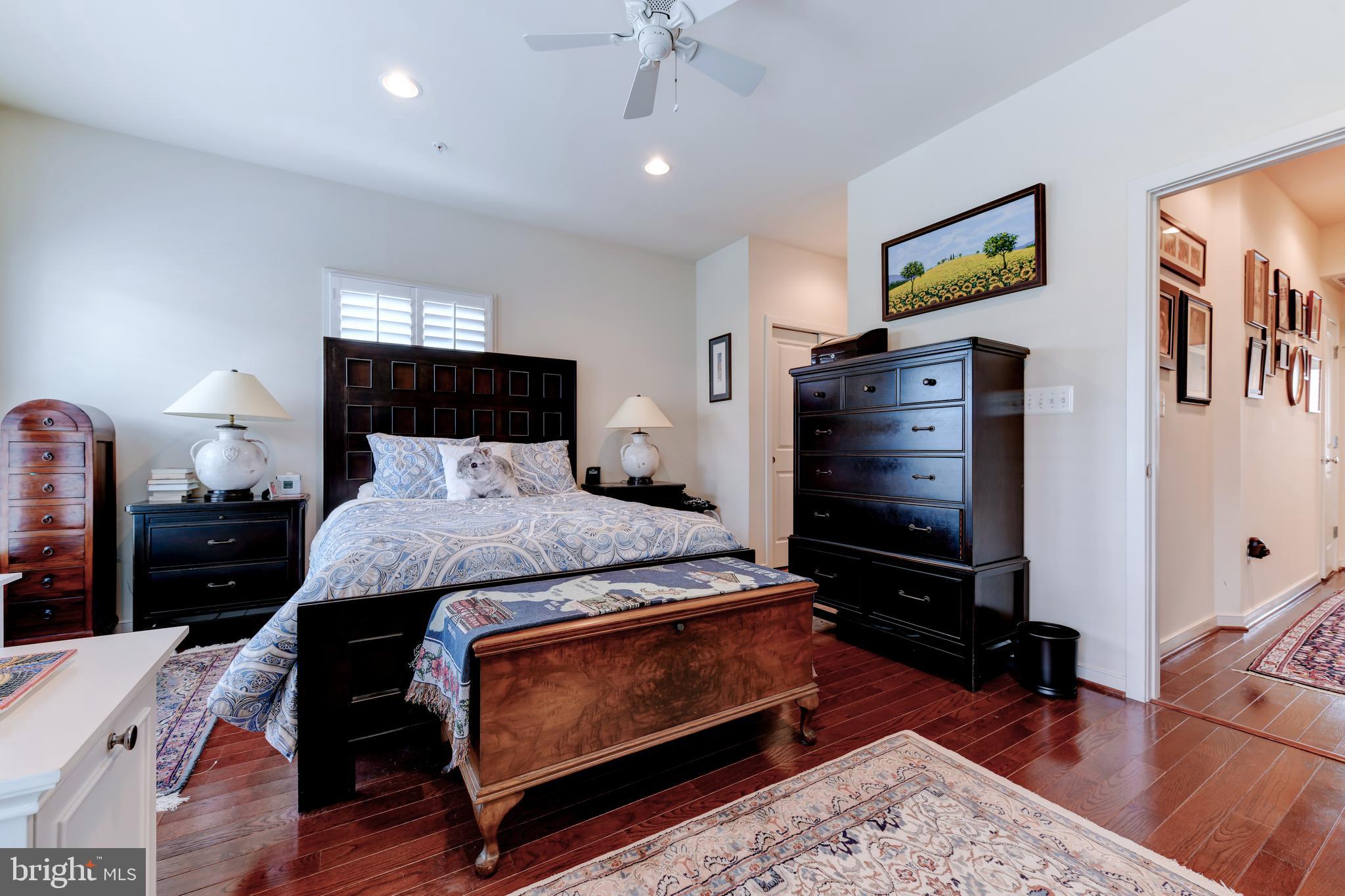 800 3rd Street Southeast Washington, DC 20003 - Photo 18 of 38 Main Bedroom with walk in closets and en-suite