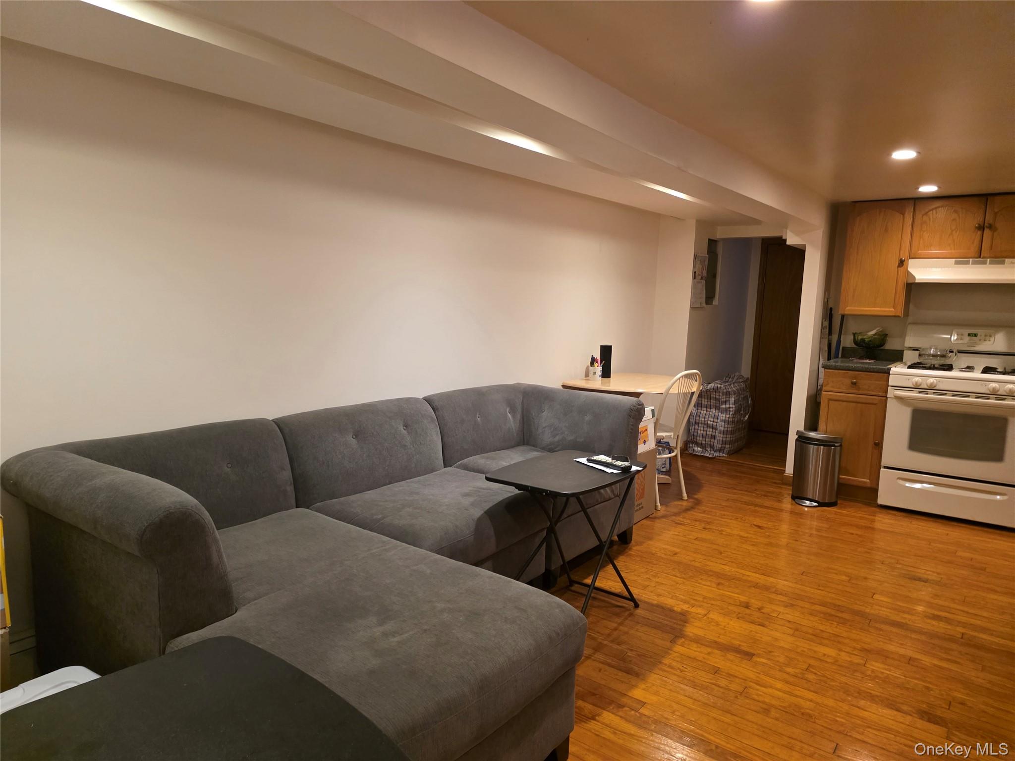 79-49 77th Road Queens, NY 11385 - Photo 10 of 12 Living room featuring recessed lighting and light wood finished floors
