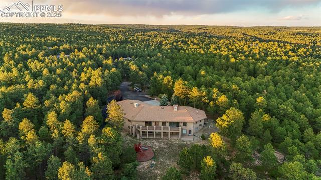 14350 Old Lasso Point Colorado Springs, CO 80921 - Photo 7 of 30 Gallery Image 7