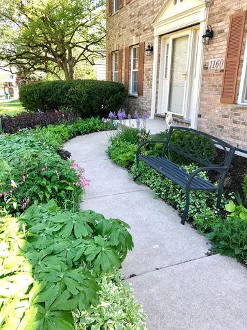 a view of garden with wooden fence