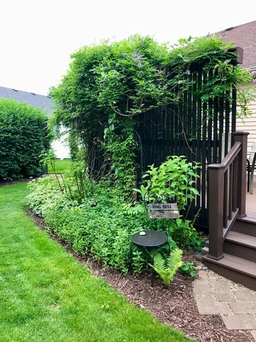 a view of a garden with large trees