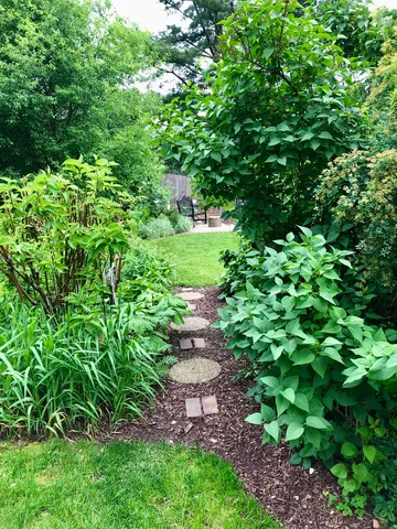 a view of a yard with plants