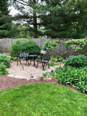 a view of a garden with plants and flowers