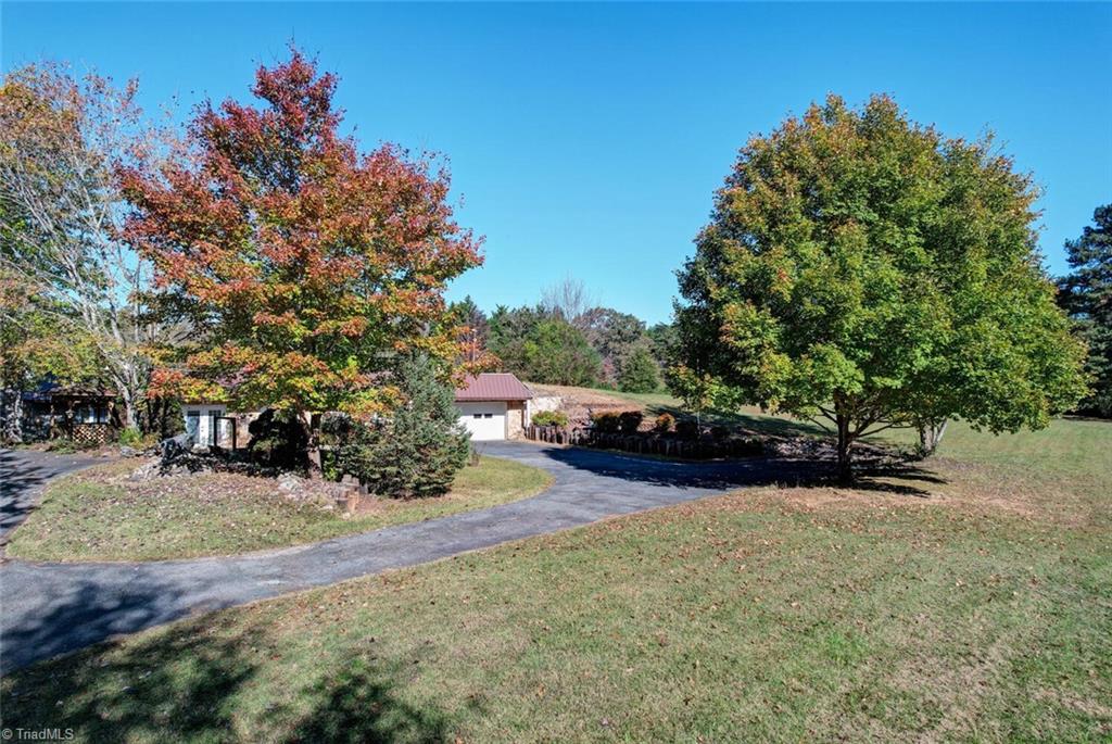 7832 Park Springs Road Ruffin, NC 27326 - Photo 3 of 50