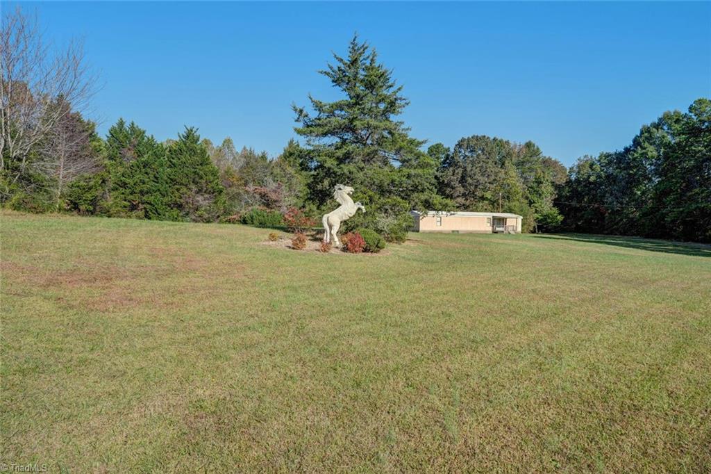 7832 Park Springs Road Ruffin, NC 27326 - Photo 36 of 50