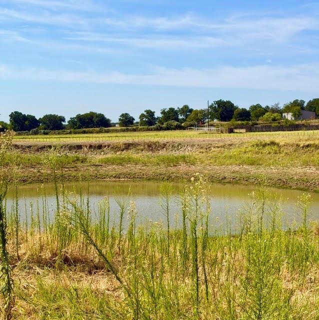 1108 County Road 4360 Decatur, TX 76234 - Photo 17 of 17 Gallery Image 17