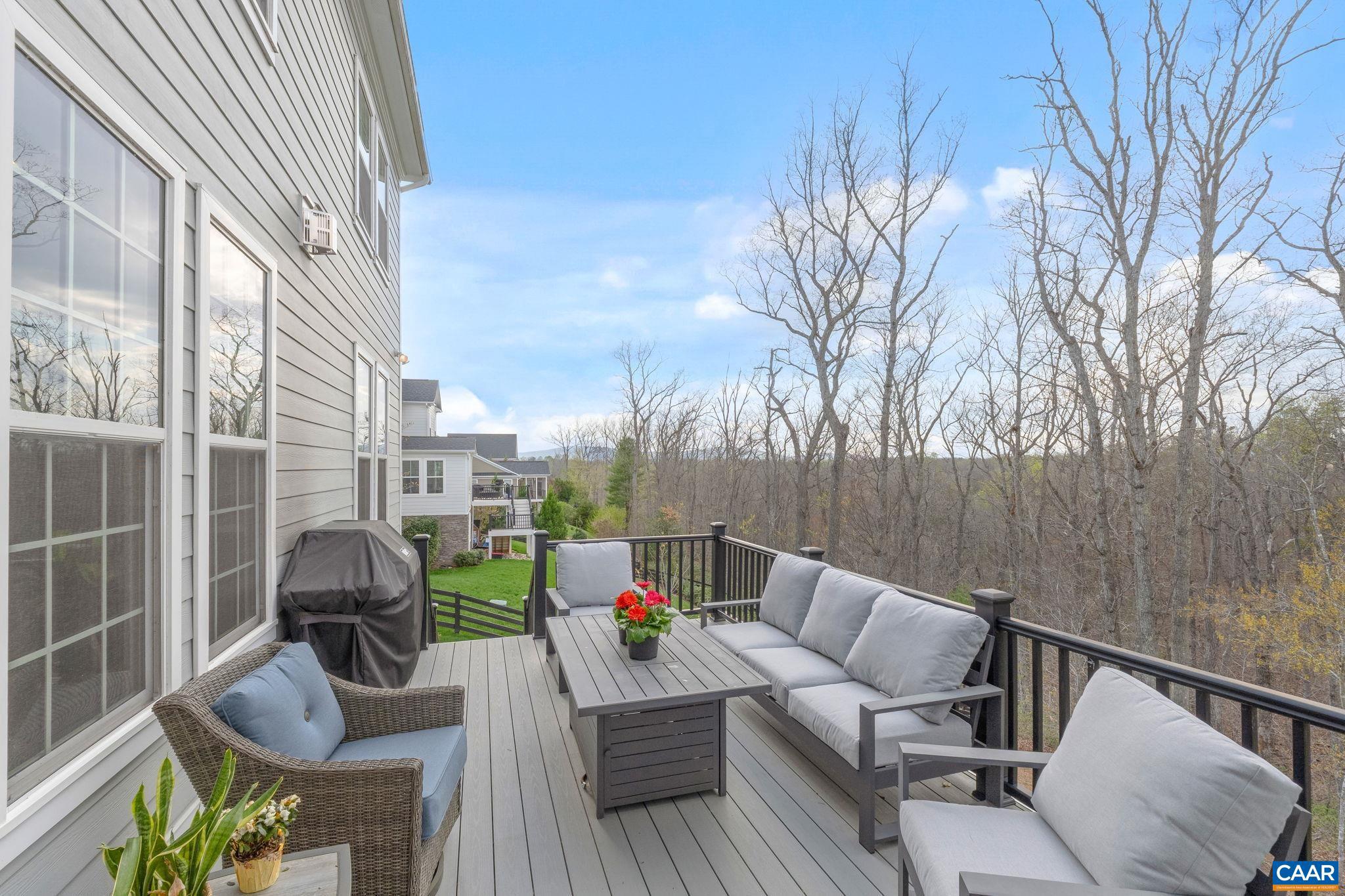 2218 Waterside Way Keswick, VA 22947 - Photo 49 of 75