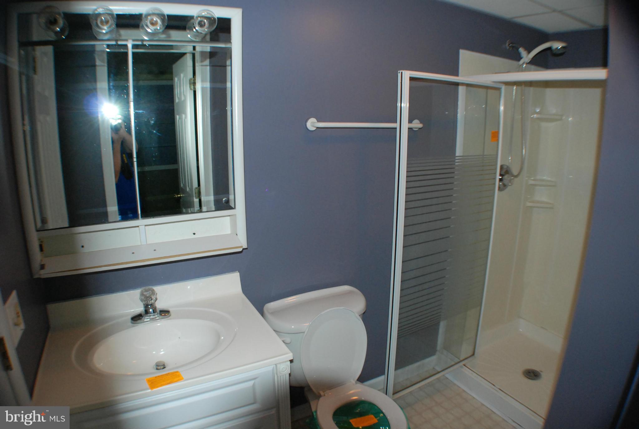 2423 Locke's Mill Road Berryville, VA 22611 - Photo 7 of 30 Main floor bath