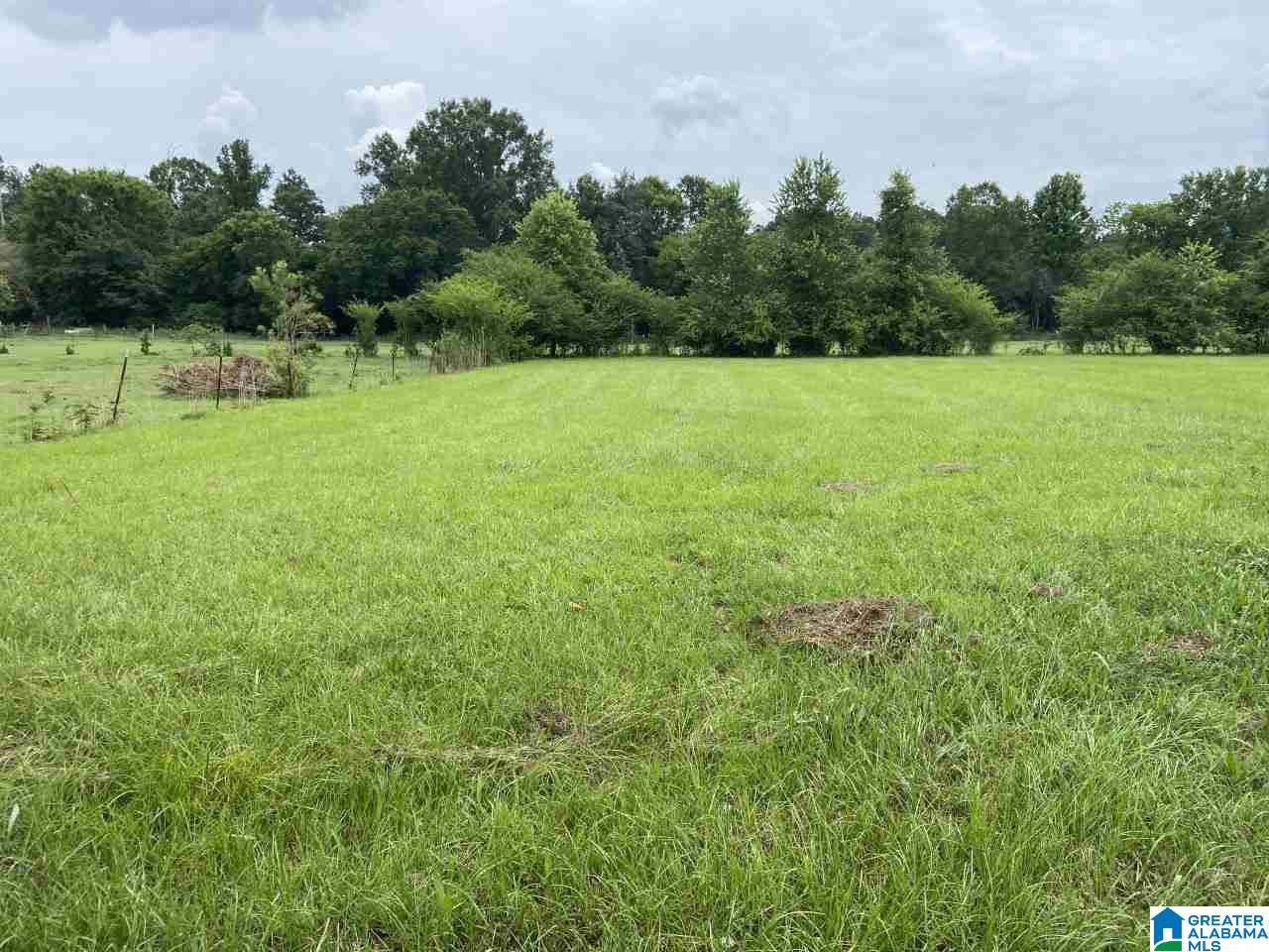 4301 Highway 62 Vincent, AL 35178 - Photo 6 of 26