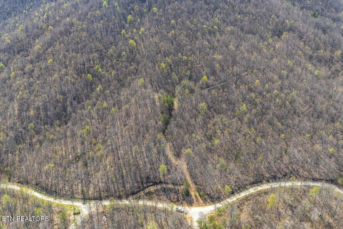 422 Crooked Branch Road Huntsville, TN 37756 - Photo 12 of 35 21-Entrance A1