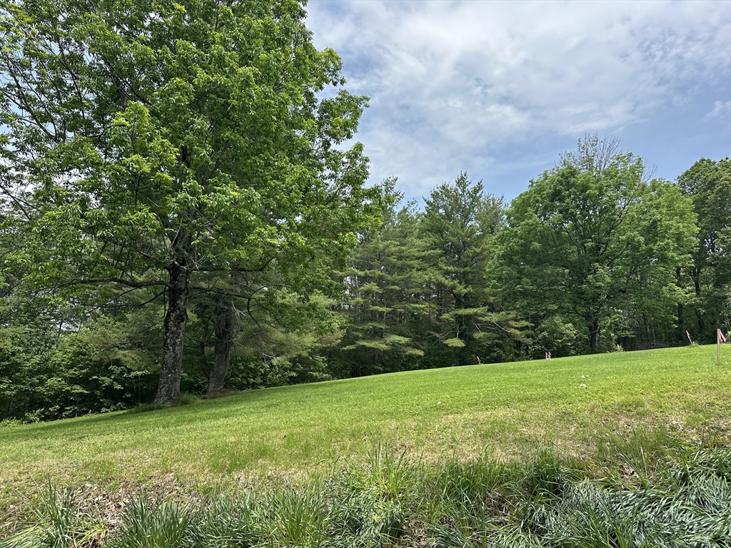 3 Weaver Farm Road Rutland, MA 01543 - Photo 2 of 6 a view of a grassy field with trees