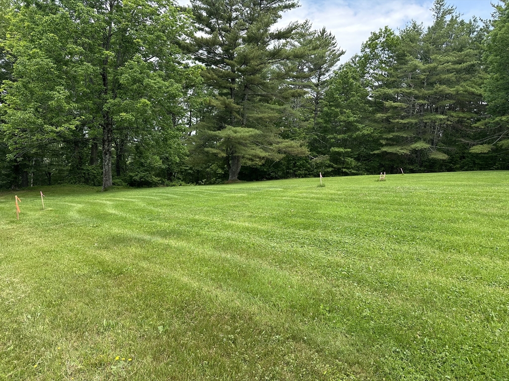 3 Weaver Farm Road Rutland, MA 01543 - Photo 3 of 6 a view of a grassy field with trees