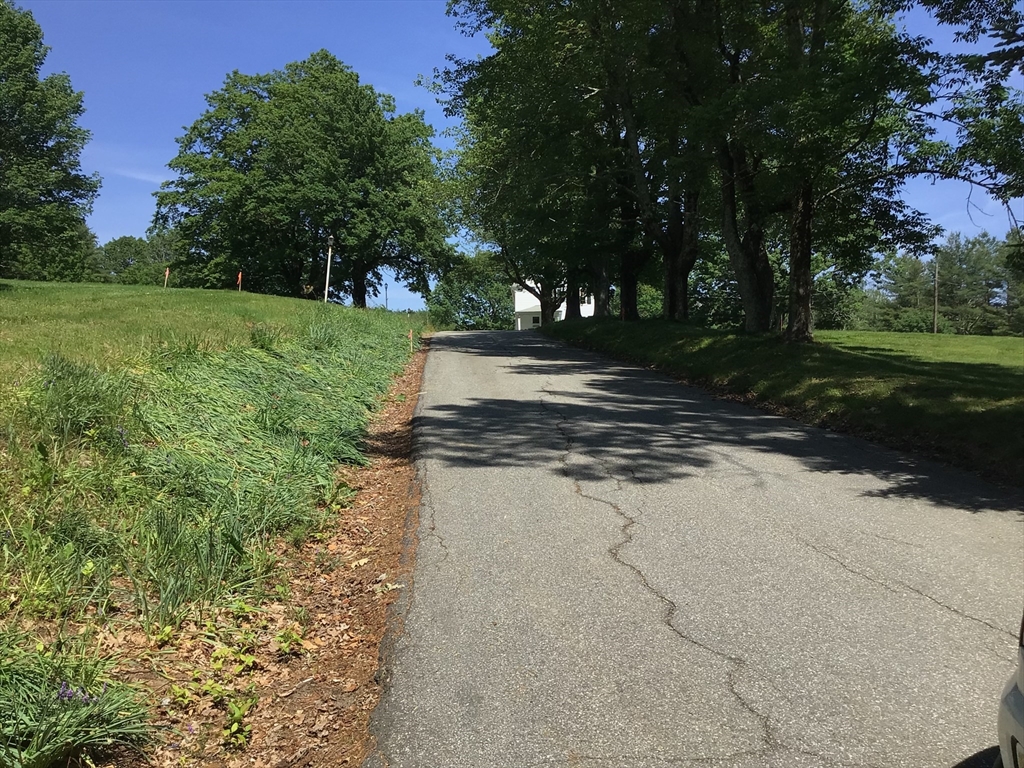 3 Weaver Farm Road Rutland, MA 01543 - Photo 5 of 6 a view of a park with trees
