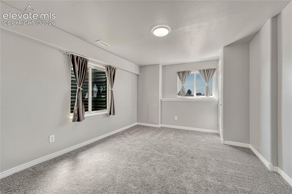 13695 Woodlake Road Elbert, CO 80106 - Photo 29 of 39 First of two basement bedrooms.