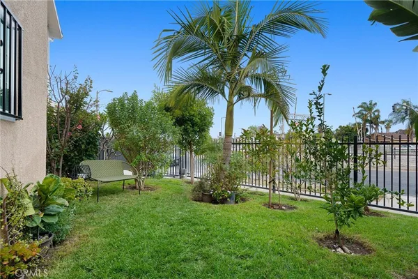a view of a garden with a palm tree