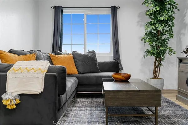 a living room with furniture and a potted plant