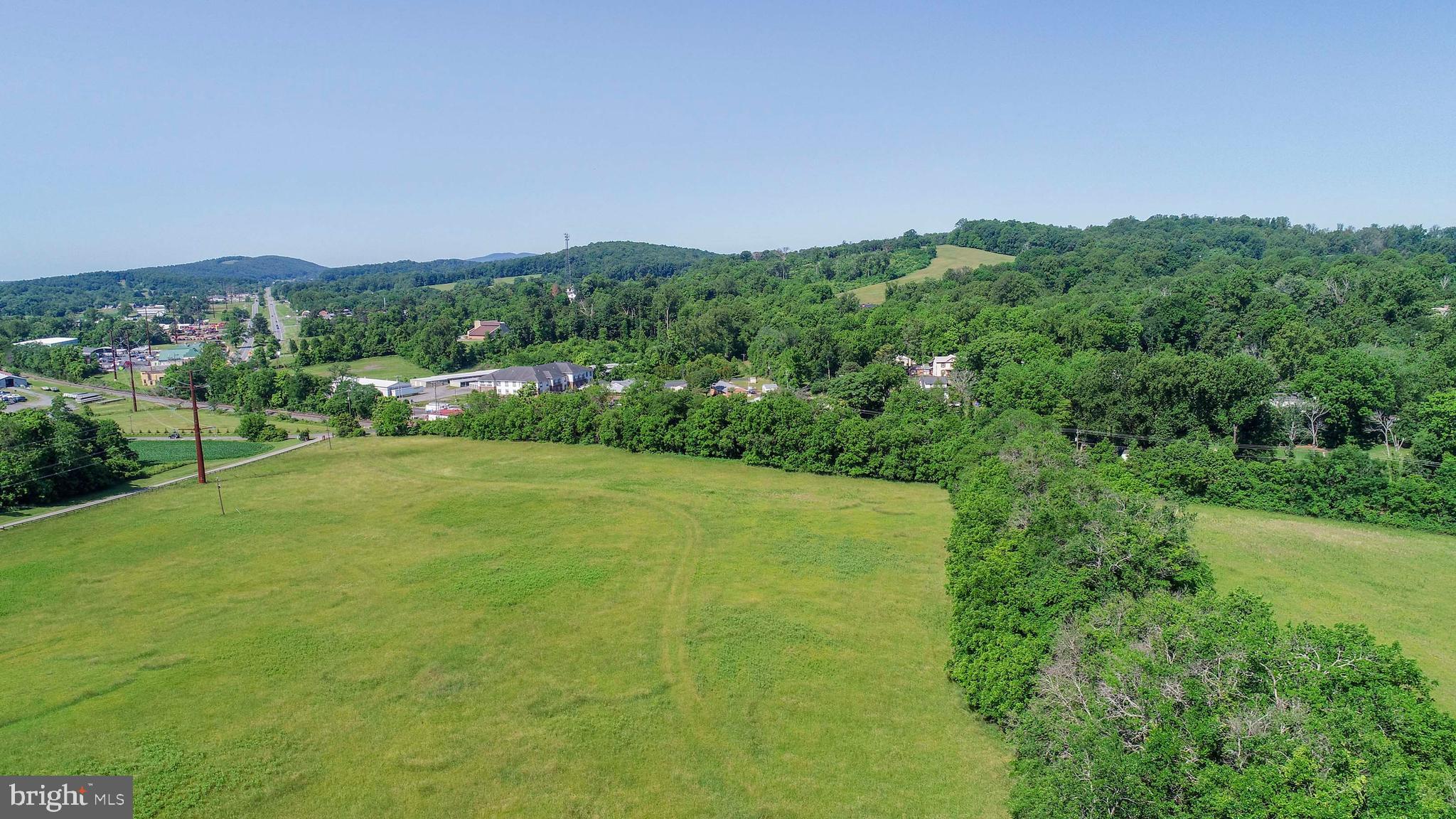 12261 Old Gordonsville Road Orange, VA 22960 - Photo 9 of 24 a view of a big yard with large trees