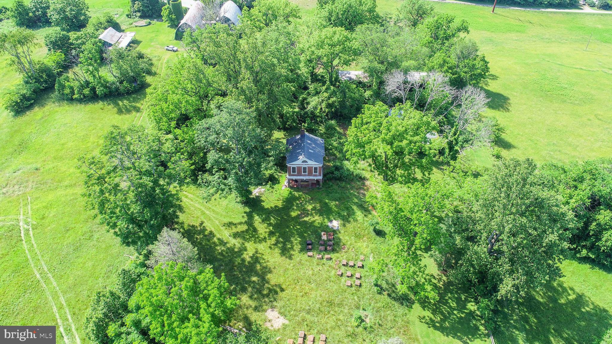 12261 Old Gordonsville Road Orange, VA 22960 - Photo 10 of 24 a view of a garden with plants