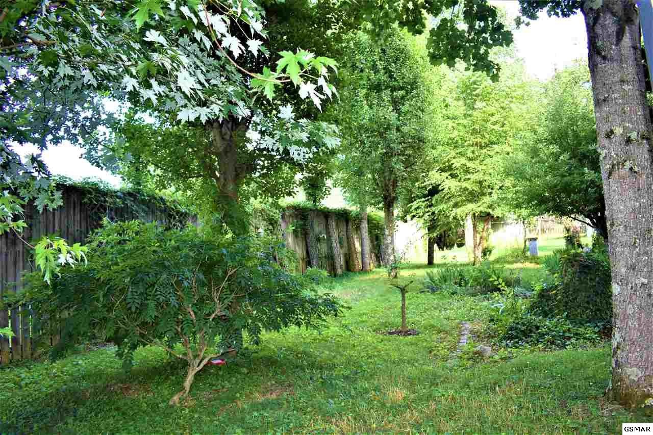 532 Cline Road Dandridge, TN 37725 - Photo 25 of 27 Gallery Image 25