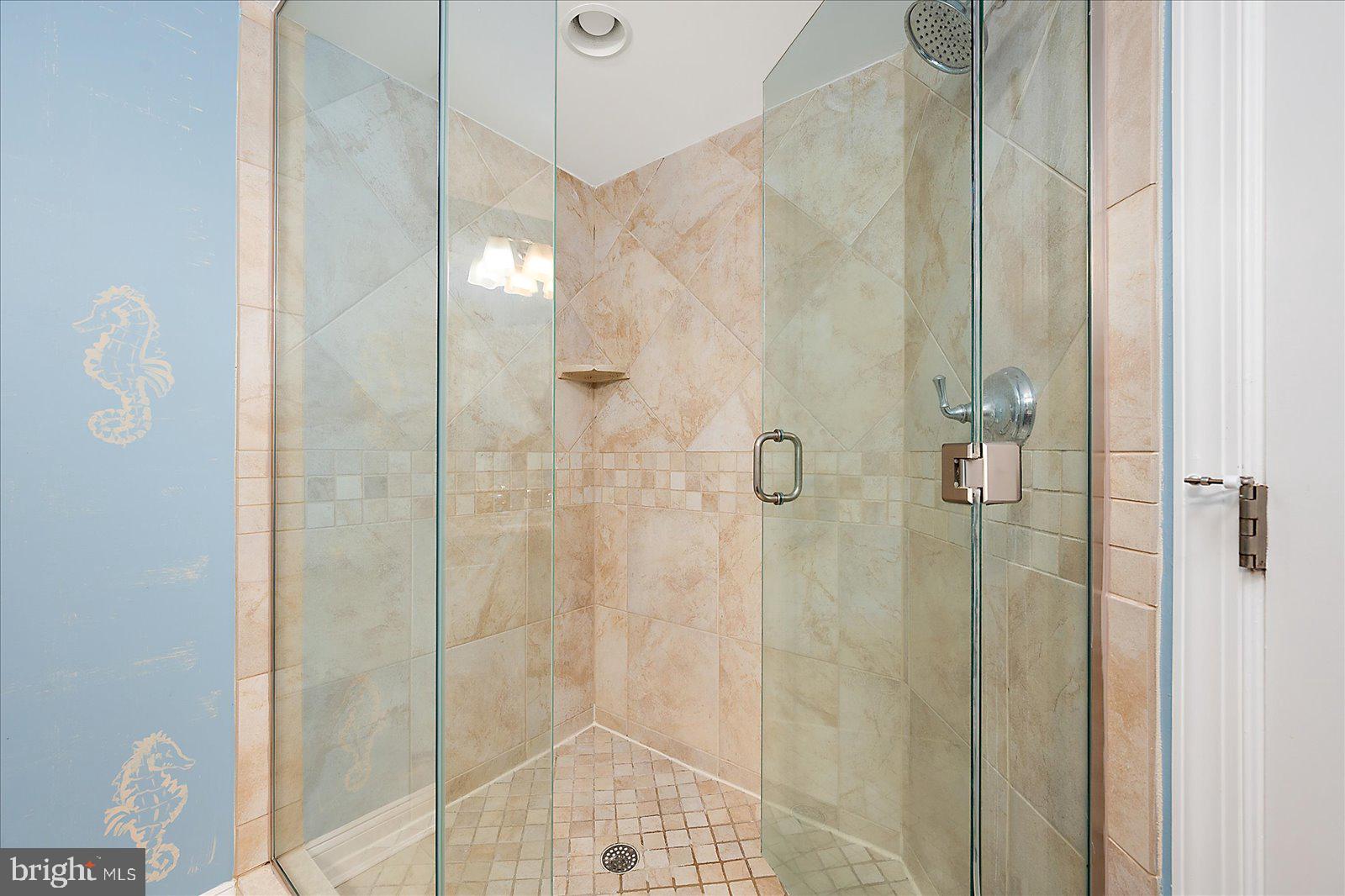 8 60th Street, Unit 902 Ocean City, MD 21842 - Photo 38 of 67 a bathroom with a shower