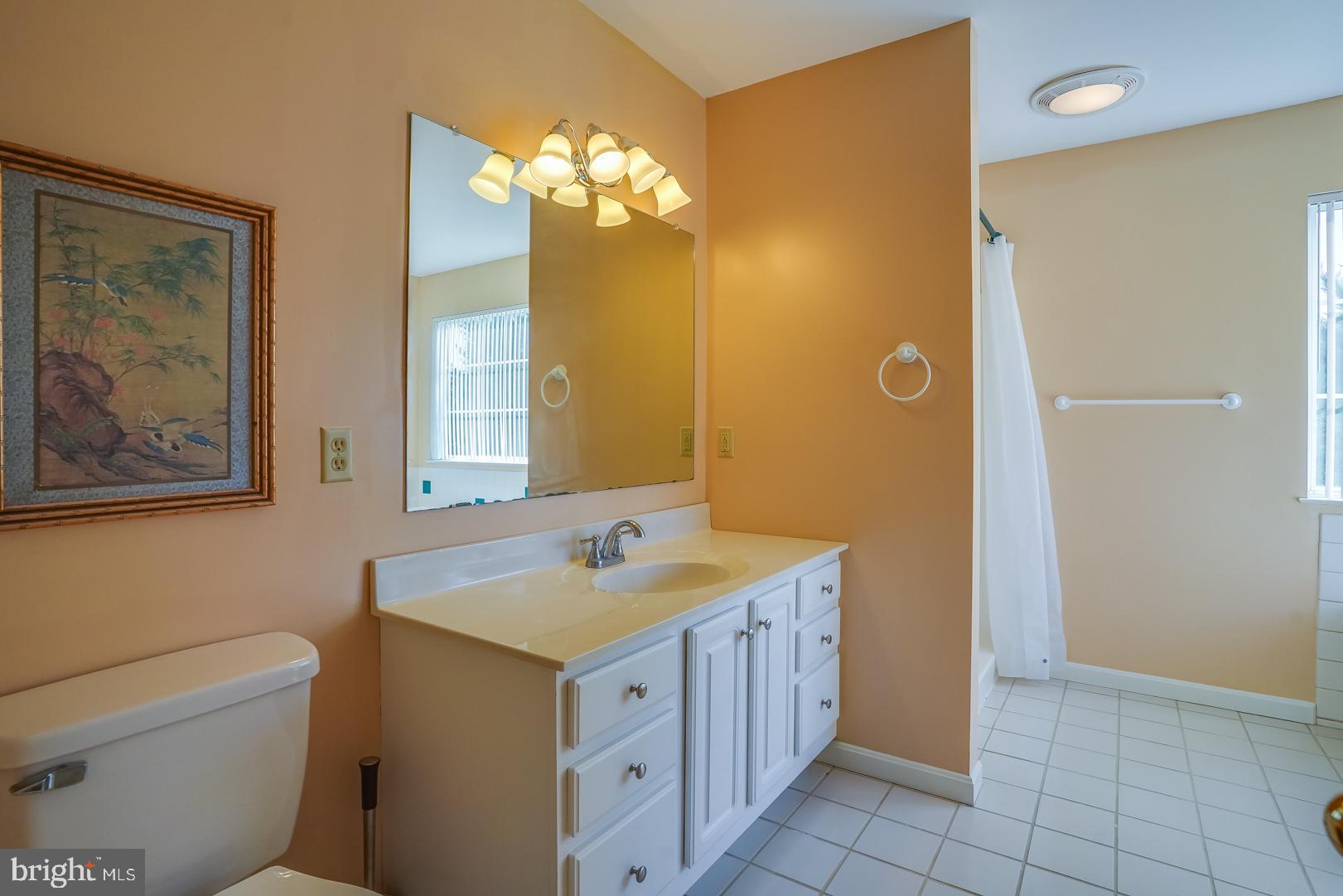 154 Winding Ridge Road Dover, DE 19904 - Photo 16 of 28 Main Bath with Walk-In Shower