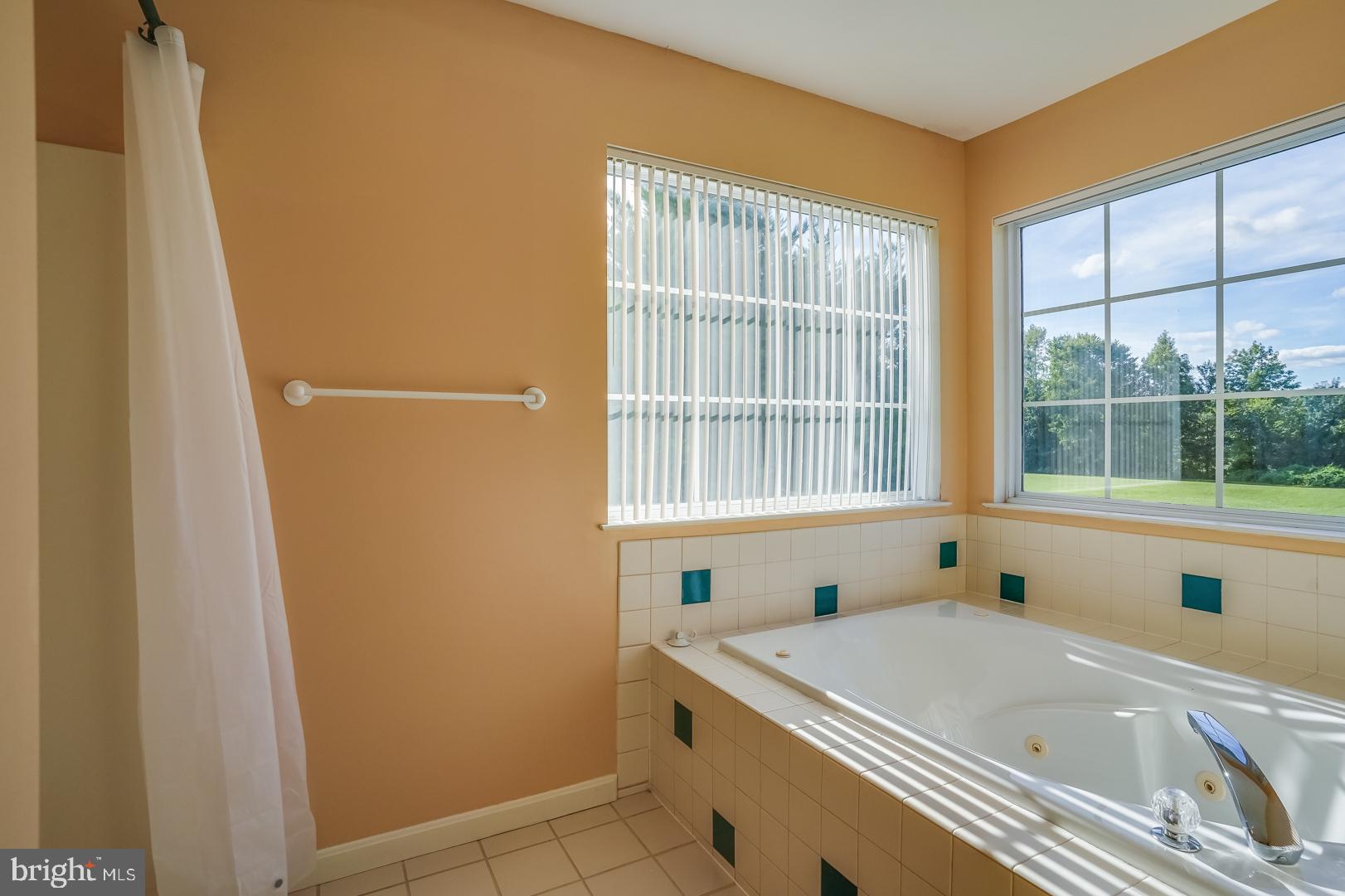 154 Winding Ridge Road Dover, DE 19904 - Photo 17 of 28 Jetted Tub