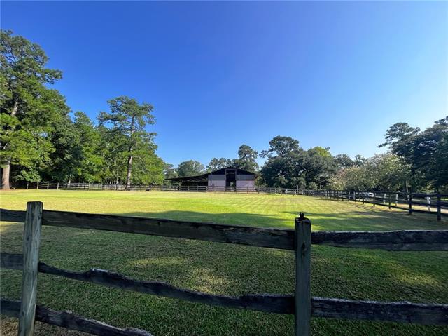 475 Deerfield Road Folsom, LA 70437 - Photo 4 of 35