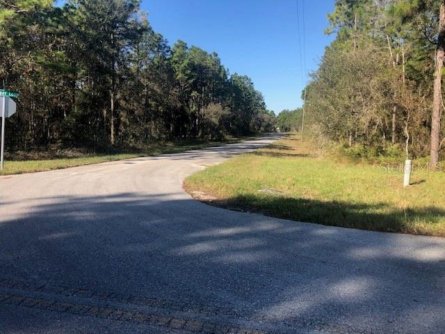 0 Jumper Loop Brooksville, FL 34609 - Photo 1 of 1