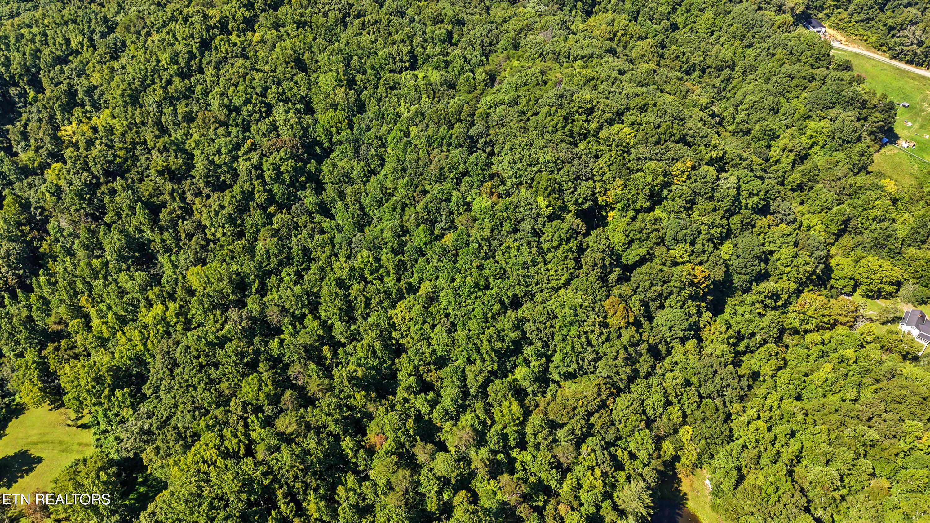 Tract 2-r-3 Cold Springs Road Walland, TN 37886 - Photo 12 of 17 DJI_20260824112602_0162_D-2