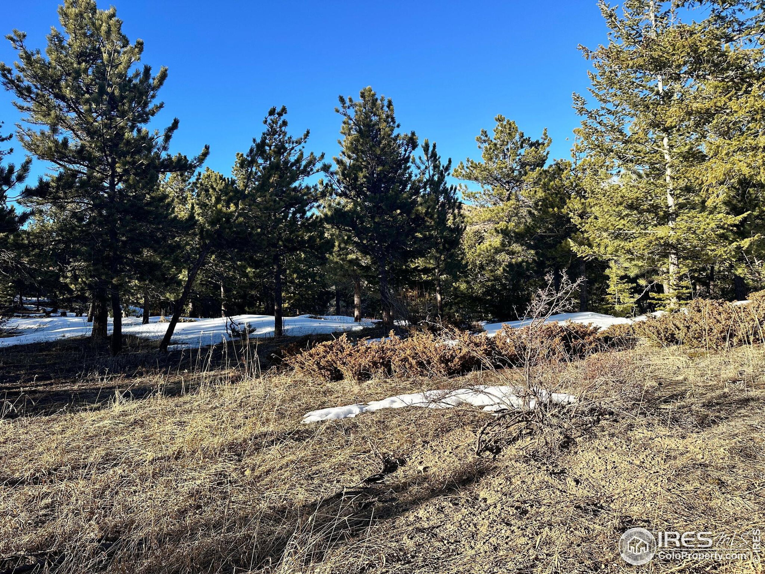 61 Rim Road Boulder, CO 80302 - Photo 12 of 33 a view of a yard with wooden fence