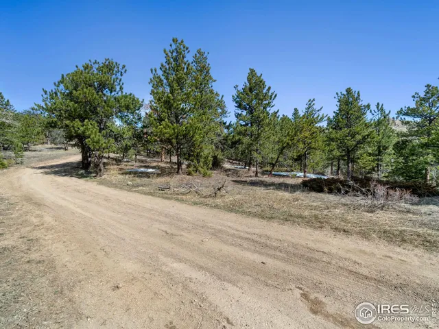 a view of a dry yard with trees